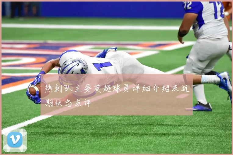 热刺队主要英超球员详细介绍及近期状态点评