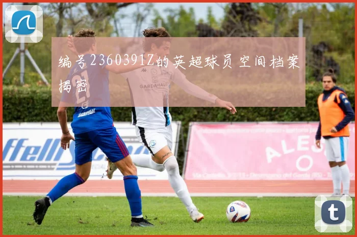 编号2360391Z的英超球员空间档案揭密