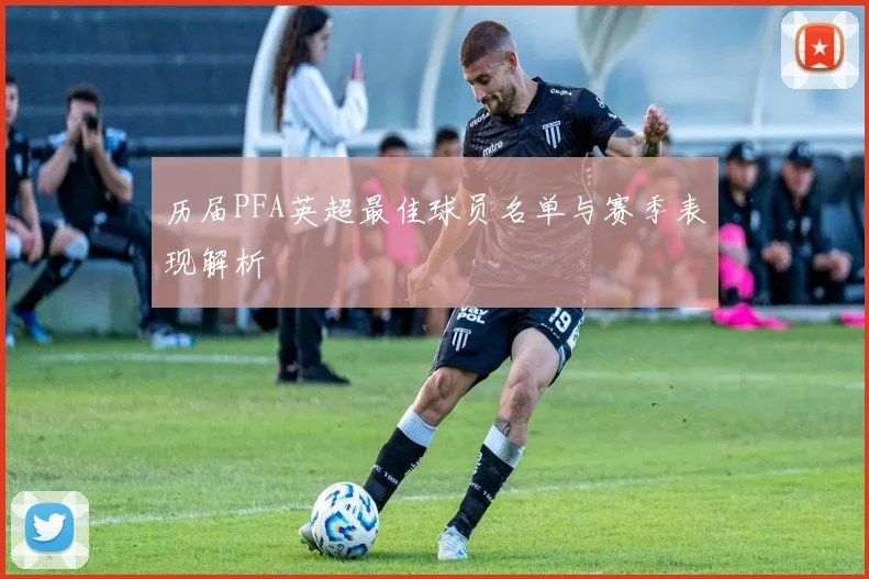 历届PFA英超最佳球员名单与赛季表现解析