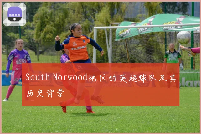 South Norwood地区的英超球队及其历史背景