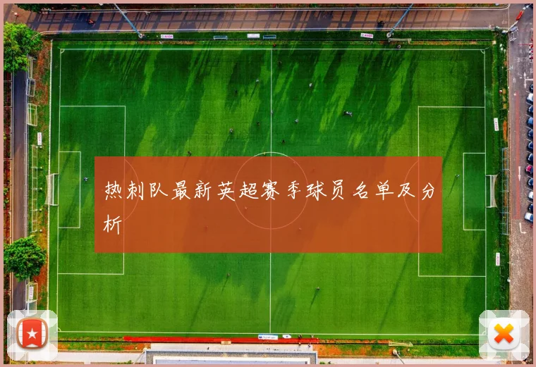 热刺队最新英超赛季球员名单及分析